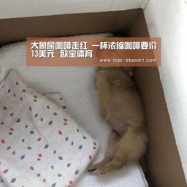 大象屎咖啡走红 一杯浓缩咖啡要价13美元-欧宝体育(图2) 欧宝体育